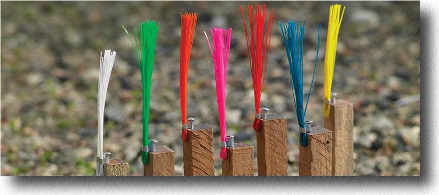 Stake Whiskers